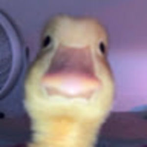 Meet your Posher, Joslyn